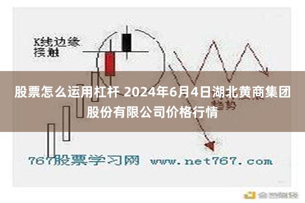 股票怎么运用杠杆 2024年6月4日湖北黄商集团股份有限公司价格行情