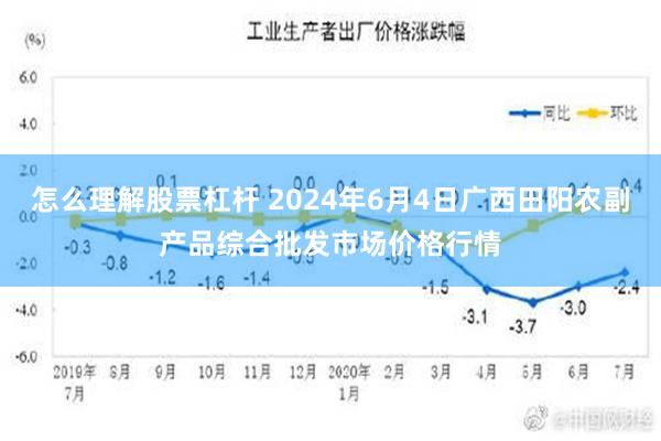 怎么理解股票杠杆 2024年6月4日广西田阳农副产品综合批发市场价格行情