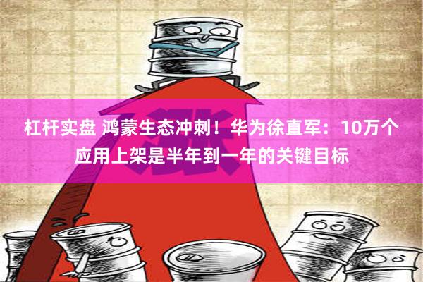 杠杆实盘 鸿蒙生态冲刺！华为徐直军：10万个应用上架是半年到一年的关键目标