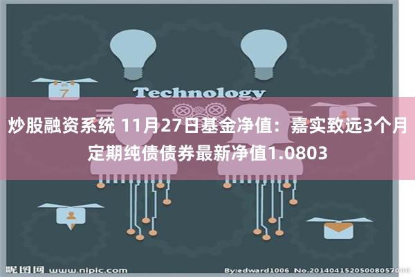 炒股融资系统 11月27日基金净值：嘉实致远3个月定期纯债债券最新净值1.0803