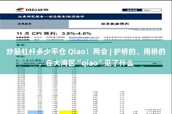 炒股杠杆多少平仓 Qiao！两会 | 护桥的、用桥的，在大湾区“qiao”见了什么